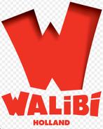 2x tickets walibi holland 2025, Twee personen