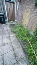 TUINMAN, Garantie, Tuinonderhoud of Snoeiwerk