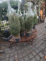 Kerstbomen en Vintage Kerstdecoratie,, Diversen, Kerst, Ophalen of Verzenden, Nieuw