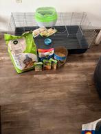 Grote cavia/konijnenkooi, December, Geslacht onbekend, Overige typen, Tam