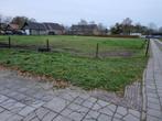 Paardenwei met stal te huur op een toplocatie, Dieren en Toebehoren, Stalling en Weidegang