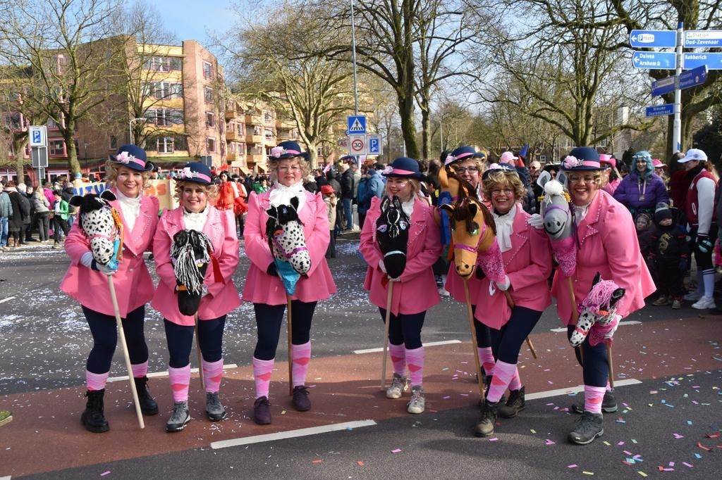 Carnavalspakken, Ophalen, Zo goed als nieuw, Maat 46/48 (XL) of groter, Carnaval