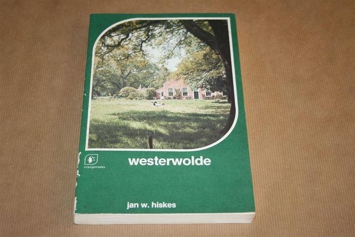 Westerwolde, Boeken, Geschiedenis | Stad en Regio, Zo goed als nieuw, Ophalen of Verzenden