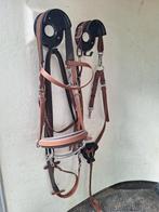 Marylot Endurance hoofdstel-teugels-borsttuig (midden bruin), Ophalen of Verzenden, Zo goed als nieuw, Recreatie