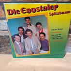 Ennstaler spitzbuam!! Fantastische polka lp op VM label, Cd's en Dvd's, Vinyl | Verzamelalbums, Ophalen of Verzenden, Zo goed als nieuw