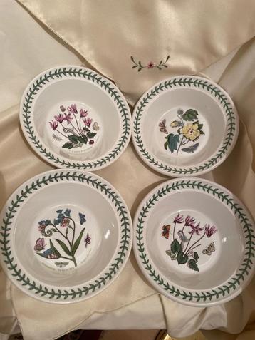 Papschaaltjes Botanic Garden beschikbaar voor biedingen