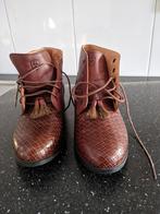 NIEUW! - Ariat Western Schoen Dames - Maat 39, Kleding | Dames, Schoenen, Lage of Enkellaarzen, Nieuw, Ophalen of Verzenden, Bruin