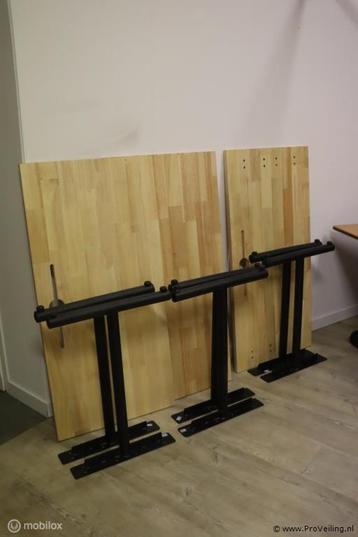 Online Veiling: Tafels/bladen incl. poten - 3 stuks beschikbaar voor biedingen