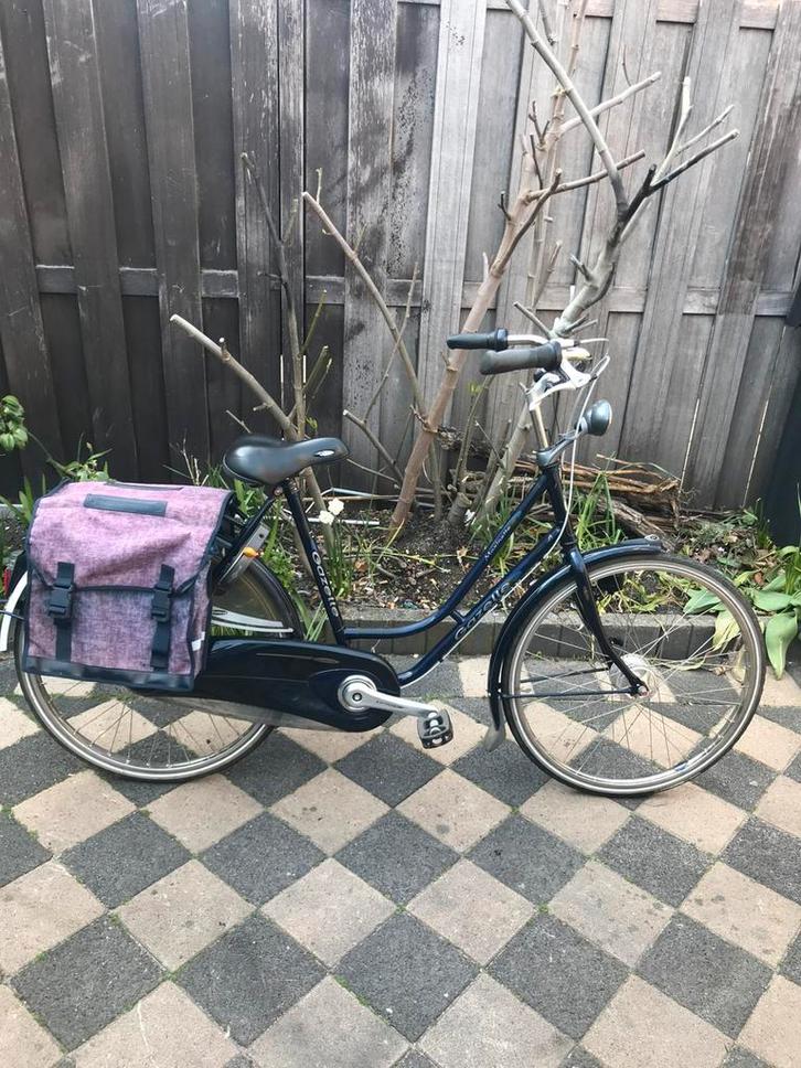 Gazelle maxinette  dames fiets 7 vers 50 cm, Fietsen en Brommers, Fietsen | Dames | Damesfietsen, Zo goed als nieuw, Gazelle, Versnellingen