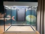 Aquatlantis splendid 60 aquarium (120L) + toebehoren, Dieren en Toebehoren, Vissen | Aquaria en Toebehoren, Ophalen, Zo goed als nieuw
