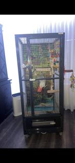 Stevige en mooie  Papegaaien kooi, Dieren en Toebehoren, Ophalen of Verzenden, Zo goed als nieuw, Vogelkooi, Metaal