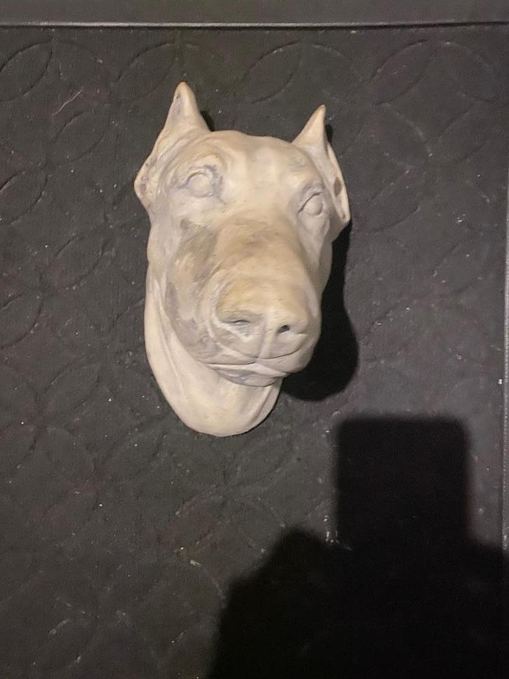 Dobermann beeld, Verzamelen, Ansichtkaarten | Themakaarten, Ongelopen, 1980 tot heden, Natuur, Ophalen