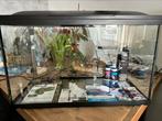 Aquarium set 90 L, Dieren en Toebehoren, Vissen | Aquaria en Toebehoren, Zo goed als nieuw, Ophalen, Leeg aquarium