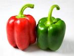 paprika planten, Ophalen, Volle zon, Groenteplanten, Eenjarig