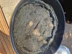 Zand - gratis, Tuin en Terras, Zand, Ophalen, Gebruikt, Ophoogzand