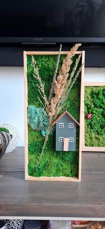 Moscompositie - Handgemaakt Natuur Kunstwerk beschikbaar voor biedingen