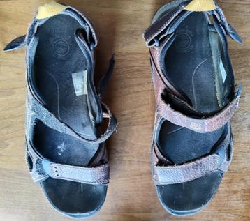 Timberland sandalen beschikbaar voor biedingen