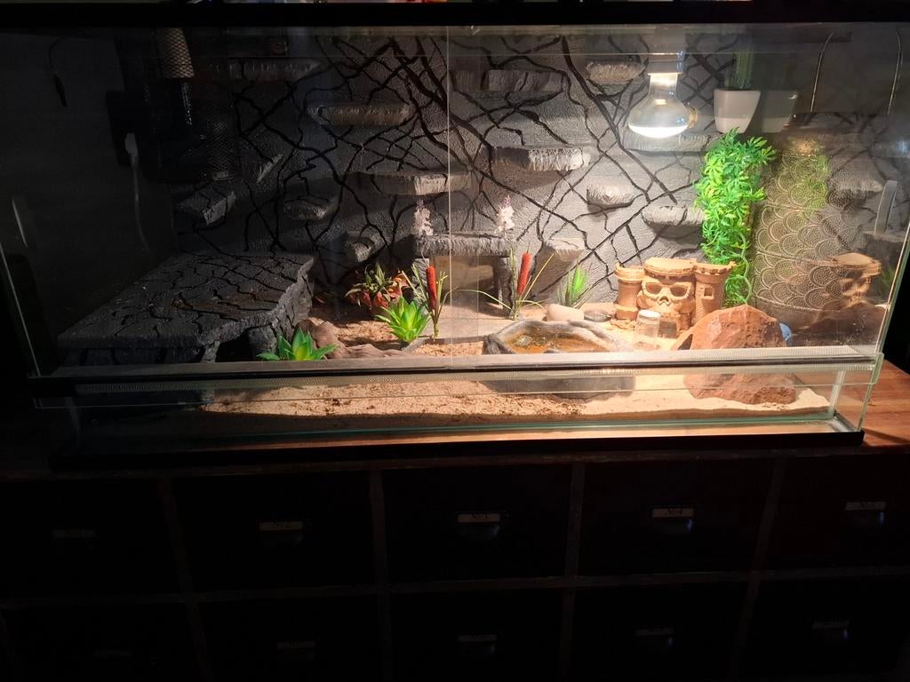 terarium, Dieren en Toebehoren, Reptielen en Amfibieën | Toebehoren, Ophalen
