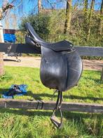 Massimo 36, Dieren en Toebehoren, Ophalen of Verzenden, Gebruikt, Recreatie