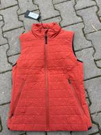 Nieuwe cavalleria toscana bodywarmer M met capuchon, Dieren en Toebehoren, Paardrijkleding, Ophalen of Verzenden, Dames, Bovenkleding