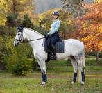 LeMieux Loire dressuur dekje Petrol full SUMMER SALE -35%!, Dieren en Toebehoren, Paarden en Pony's | Dekens en Dekjes, Ophalen of Verzenden