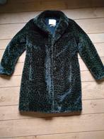 Prachtige nieuwe jas van Yaya, Kleding | Dames, Ophalen of Verzenden, Nieuw, Maat 36 (S), Groen