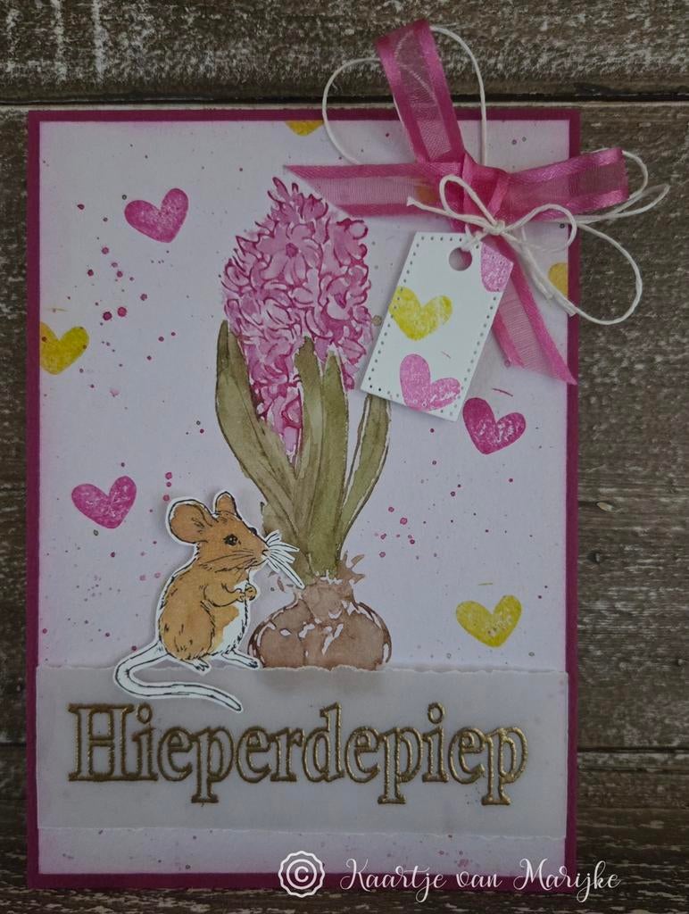 Hieperdepiep Kaart met Muis en Hyacint, Ophalen of Verzenden, Nieuw, Kind, Blanco kaart of Basiskaart