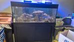 Zeeaquarium, Dieren en Toebehoren, Vissen | Aquaria en Toebehoren, Ophalen, Gebruikt, Gevuld zeewateraquarium