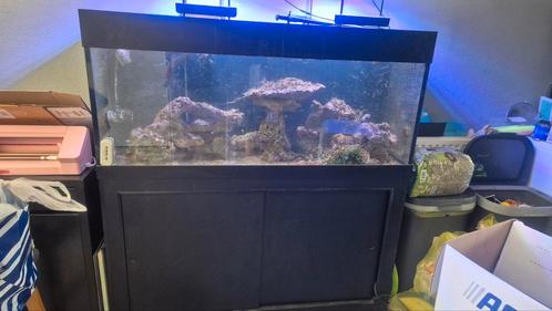 Zeeaquarium, Dieren en Toebehoren, Vissen | Aquaria en Toebehoren, Gebruikt, Gevuld zeewateraquarium, Ophalen