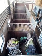 In juli 2025 te koop : Paarden boxen 5 stuks ong 3x3 meter, Dieren en Toebehoren, Stalling en Weidegang