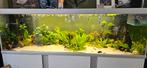 Aquarium akvastabil fusion 200, Ophalen, Zo goed als nieuw, Overige typen