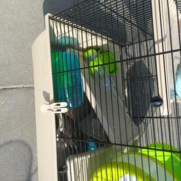 Hamsterkooi beschikbaar voor biedingen