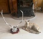 Gewei en Damhert, Ophalen of Verzenden, Gebruikt