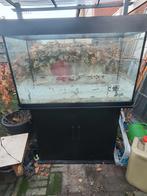 Helaas zijn al mijn vissen dood en daarom wil ik mijn aquari, Dieren en Toebehoren, Vissen | Aquaria en Toebehoren, Ophalen of Verzenden