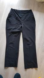positiebroek large, Kleding | Dames, Positiekleding, Zwart, Maat 42/44 (L), Ophalen of Verzenden, Zo goed als nieuw