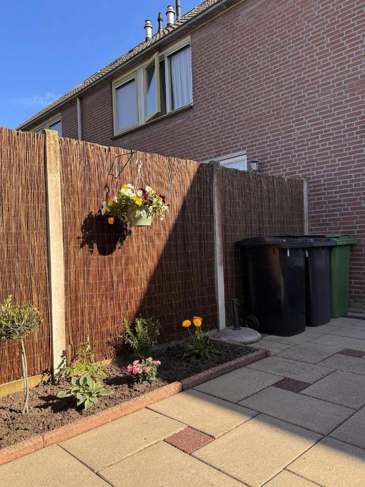 hoge kwaliteit Wilgenmatten, Tuin en Terras, Schuttingen, Nieuw, Overige materialen, 1 tot 2 meter, 3 tot 6 meter, Ophalen of Verzenden