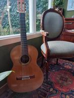 Ibanez Andora Classic rectical, Muziek en Instrumenten, Snaarinstrumenten | Gitaren | Akoestisch, Ophalen, Zo goed als nieuw, Western- of Steelstringgitaar