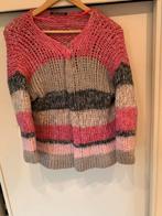 Mooi gekleurd vest van luisa cerano  maat 44, Kleding | Dames, Overige kleuren, Maat 42/44 (L), Ophalen of Verzenden, Luisa Cerano