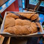 Houten Hondenmand, Ophalen of Verzenden, Overige