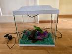 Compleet aquarium, Dieren en Toebehoren, Vissen | Aquaria en Toebehoren, Ophalen, Gebruikt, Leeg aquarium