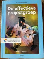 De effectieve projectgroep, Boeken, Studieboeken en Cursussen, Nieuw, Noordhoff Uitgevers, Gamma, HBO