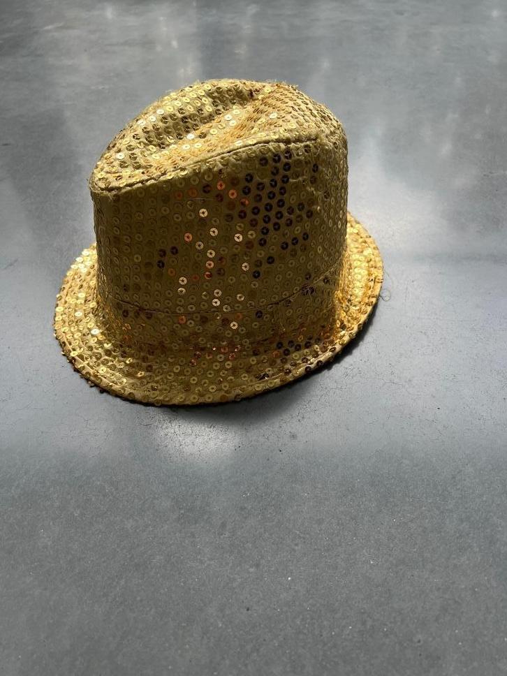 feesthoed, Hobby en Vrije tijd, Feestartikelen, Gebruikt, Hoed of Pruik, Ophalen of Verzenden