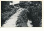 8781 Ugchelen Koolspreng, Verzamelen, Ophalen of Verzenden