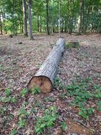 Amerikaanse eik boomstam, Doe-het-zelf en Verbouw, Hout en Planken, Ophalen, Gebruikt, Eiken, Plank