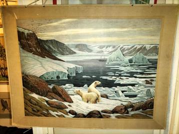 Schoolplaat IJsberen in Arctisch Landschap beschikbaar voor biedingen