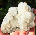 Apofyliet cluster met grote kristallen natuursteen mineralen, Verzamelen, Mineralen en Fossielen, Ophalen of Verzenden