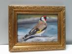 OPRUIMING schilderij puttertje met lijst - eigen werk vogel, Ophalen of Verzenden