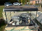 Aquarium, Ophalen of Verzenden, Gebruikt, Leeg aquarium