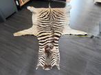 Zebrahuid Echte Burchell zebra 295 x 208 cm, Huis en Inrichting, Stoffering | Tapijten en Kleden, Ophalen of Verzenden, Zo goed als nieuw