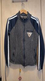 Sportief warm jasje vest lamswol grijs blauw mt 42, Ophalen of Verzenden, Gedragen, Maat 42/44 (L), Overige kleuren